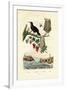 Bird of Paradise, 1833-39-null-Framed Giclee Print