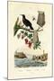Bird of Paradise, 1833-39-null-Mounted Giclee Print