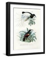 Bird of Paradise, 1864-null-Framed Giclee Print