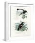 Bird of Paradise, 1864-null-Framed Giclee Print