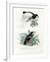 Bird of Paradise, 1864-null-Framed Giclee Print