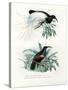 Bird of Paradise, 1864-null-Stretched Canvas