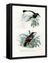 Bird of Paradise, 1864-null-Framed Stretched Canvas