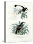 Bird of Paradise, 1864-null-Stretched Canvas