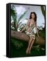 BIRD OF PARADISE, 1951 directed by DELMER DAVES Debra Paget (photo)-null-Framed Stretched Canvas