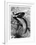 Bird of Paradise, 19th Century-A Mesnel-Framed Giclee Print