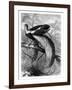 Bird of Paradise, 19th Century-A Mesnel-Framed Giclee Print