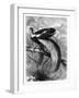 Bird of Paradise, 19th Century-A Mesnel-Framed Giclee Print