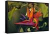 Bird of Paradise Blooming on the Garden Isle, Kauai, Hawaii, USA-Jerry Ginsberg-Framed Stretched Canvas