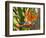 Bird-of-Paradise Flower, Sunshine Coast, Queensland, Australia-David Wall-Framed Photographic Print