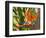 Bird-of-Paradise Flower, Sunshine Coast, Queensland, Australia-David Wall-Framed Photographic Print