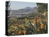 Bird of Paradise Flowers, Botanical Gardens, Funchal, Madeira, Portugal, Atlantic, Europe-James Emmerson-Stretched Canvas