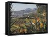 Bird of Paradise Flowers, Botanical Gardens, Funchal, Madeira, Portugal, Atlantic, Europe-James Emmerson-Framed Stretched Canvas