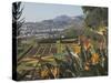 Bird of Paradise Flowers, Botanical Gardens, Funchal, Madeira, Portugal, Atlantic, Europe-James Emmerson-Stretched Canvas