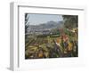 Bird of Paradise Flowers, Botanical Gardens, Funchal, Madeira, Portugal, Atlantic, Europe-James Emmerson-Framed Photographic Print