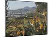 Bird of Paradise Flowers, Botanical Gardens, Funchal, Madeira, Portugal, Atlantic, Europe-James Emmerson-Mounted Photographic Print