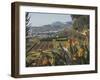 Bird of Paradise Flowers, Botanical Gardens, Funchal, Madeira, Portugal, Atlantic, Europe-James Emmerson-Framed Photographic Print