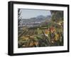 Bird of Paradise Flowers, Botanical Gardens, Funchal, Madeira, Portugal, Atlantic, Europe-James Emmerson-Framed Photographic Print