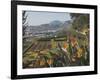 Bird of Paradise Flowers, Botanical Gardens, Funchal, Madeira, Portugal, Atlantic, Europe-James Emmerson-Framed Photographic Print