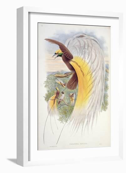 Bird of Paradise, from Birds of New Guinea-John Gould-Framed Giclee Print