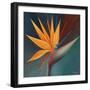 Bird of Paradise I-Vivien Rhyan-Framed Premium Giclee Print