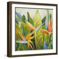 Bird of Paradise I-Patricia Pinto-Framed Art Print