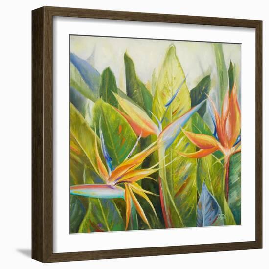 Bird of Paradise I-Patricia Pinto-Framed Art Print