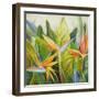 Bird of Paradise I-Patricia Pinto-Framed Art Print