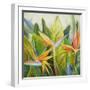 Bird of Paradise I-Patricia Pinto-Framed Art Print