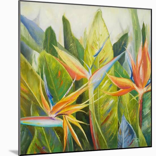 Bird of Paradise I-Patricia Pinto-Mounted Art Print