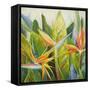 Bird of Paradise I-Patricia Pinto-Framed Stretched Canvas