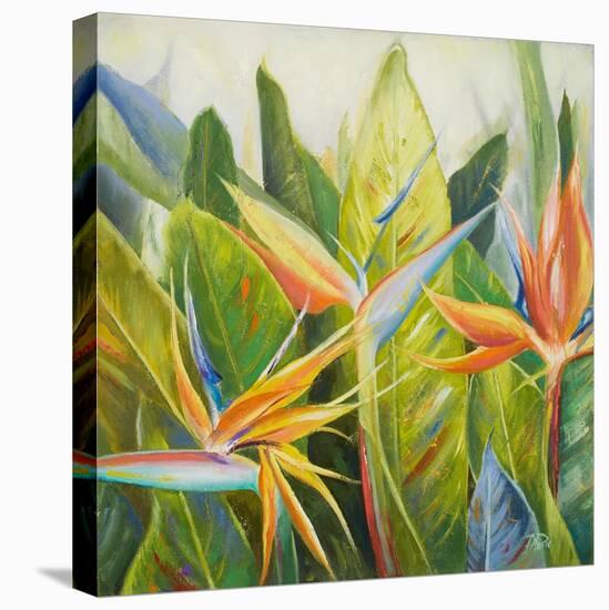 Bird of Paradise I-Patricia Pinto-Stretched Canvas