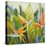 Bird of Paradise I-Patricia Pinto-Stretched Canvas