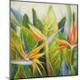 Bird of Paradise I-Patricia Pinto-Mounted Art Print