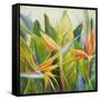 Bird of Paradise I-Patricia Pinto-Framed Stretched Canvas