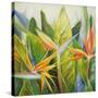 Bird of Paradise I-Patricia Pinto-Stretched Canvas