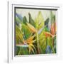 Bird of Paradise I-Patricia Pinto-Framed Art Print