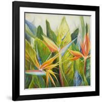 Bird of Paradise I-Patricia Pinto-Framed Art Print