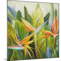 Bird of Paradise I-Patricia Pinto-Mounted Art Print