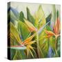 Bird of Paradise I-Patricia Pinto-Stretched Canvas