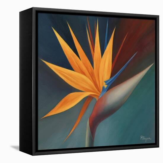 Bird of Paradise I-Vivien Rhyan-Framed Stretched Canvas