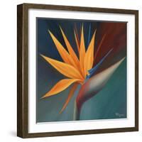 Bird of Paradise I-Vivien Rhyan-Framed Premium Giclee Print