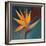 Bird of Paradise I-Vivien Rhyan-Framed Premium Giclee Print