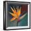 Bird of Paradise I-Vivien Rhyan-Framed Premium Giclee Print