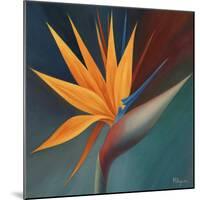 Bird of Paradise I-Vivien Rhyan-Mounted Premium Giclee Print