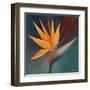 Bird of Paradise I-Vivien Rhyan-Framed Art Print