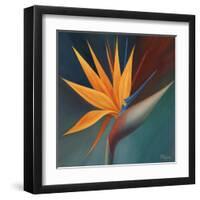 Bird of Paradise I-Vivien Rhyan-Framed Art Print