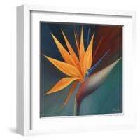 Bird of Paradise I-Vivien Rhyan-Framed Art Print