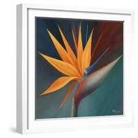 Bird of Paradise I-Vivien Rhyan-Framed Art Print