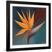 Bird of Paradise I-Vivien Rhyan-Framed Art Print